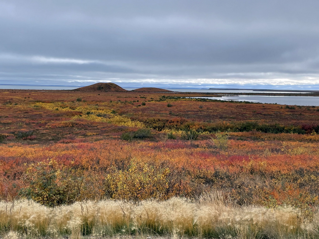 Reclamation work in progress on northern landscape
